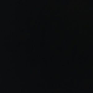 Meet your Posher, Tyler Jane